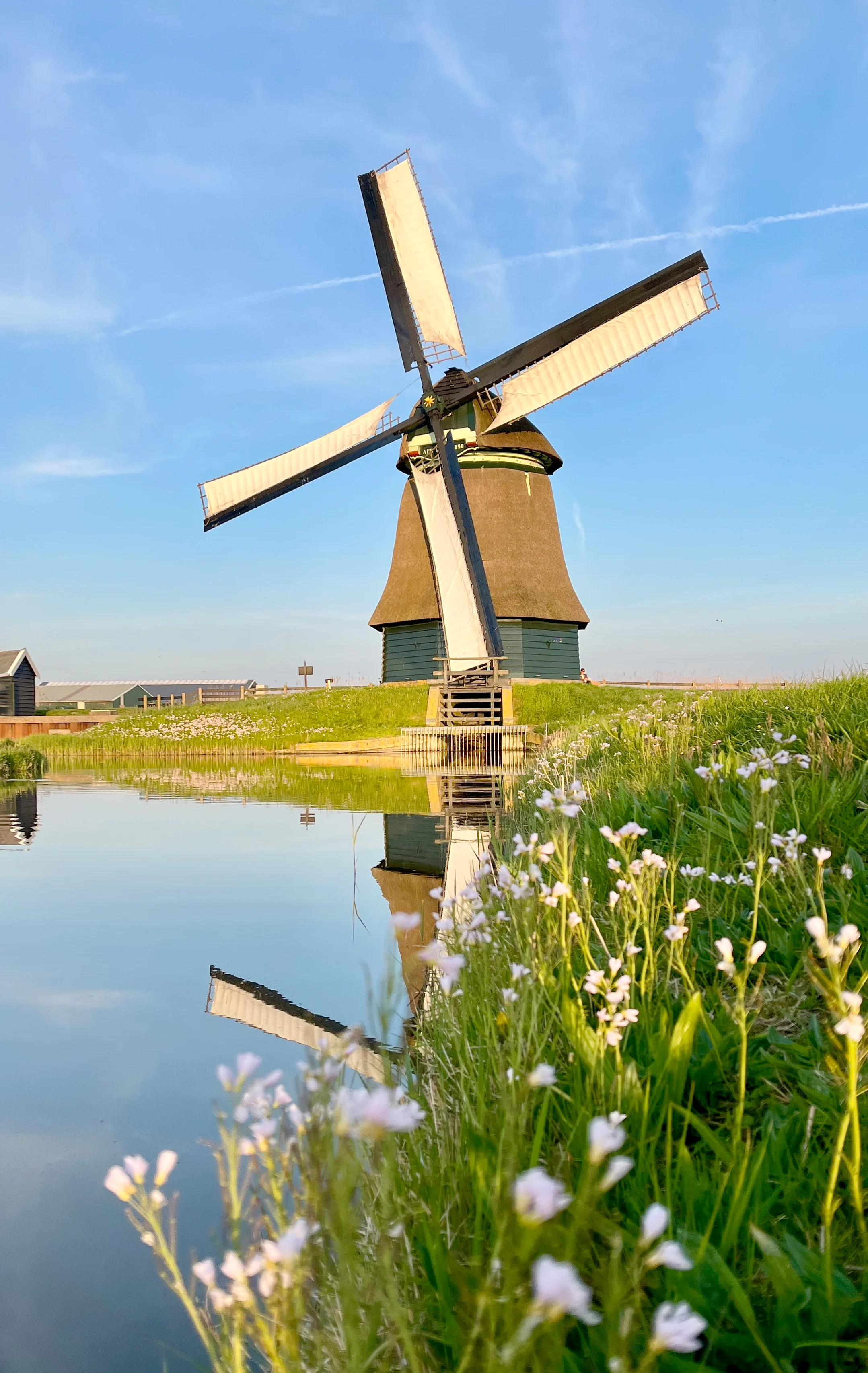 Klaas Zaal (12-07-2025)&nbsp;De molen draaiend op Noord | Database Nederlandse molens