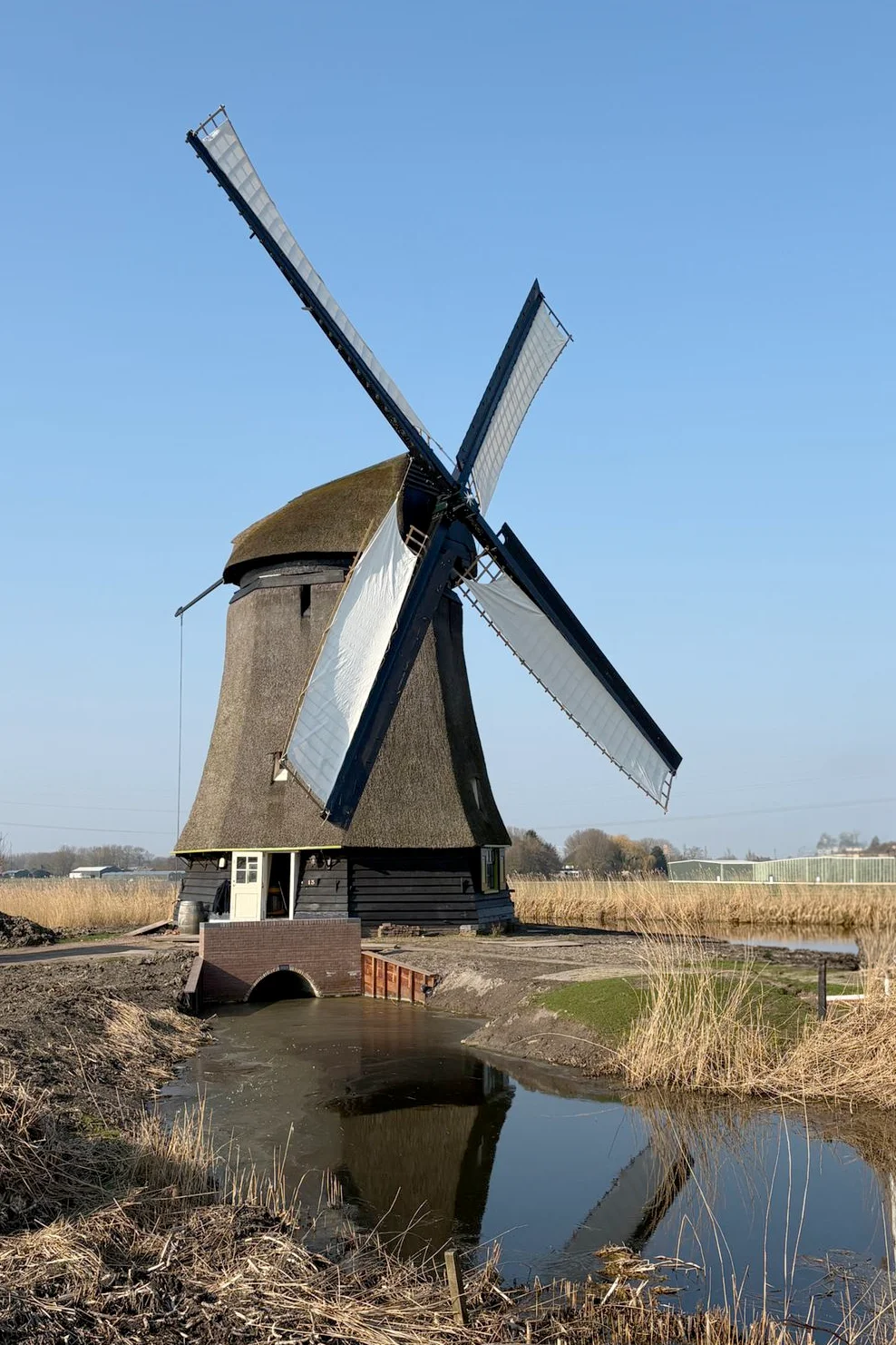 Mats Faber (04-03-2026)&nbsp;De eerste omwentelingen van strijkmolen L na de ingrijpende restauratie in 2023-2026. | Database Nederlandse molens