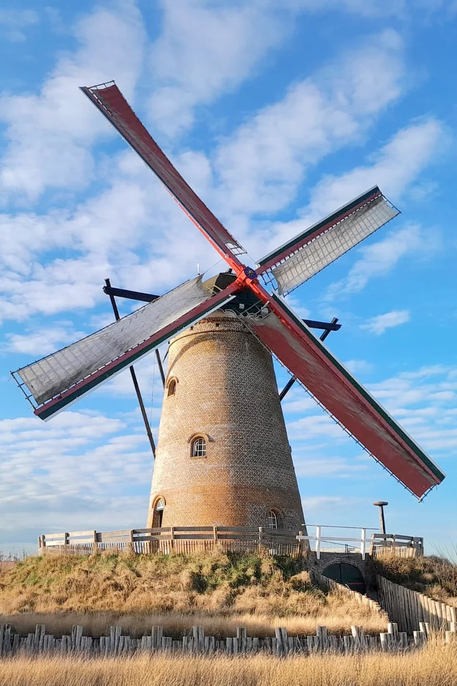 G. van Hermon (18-01-2026)&nbsp;De molen draait na een lange tijd weer met zeilen. | Database Nederlandse molens