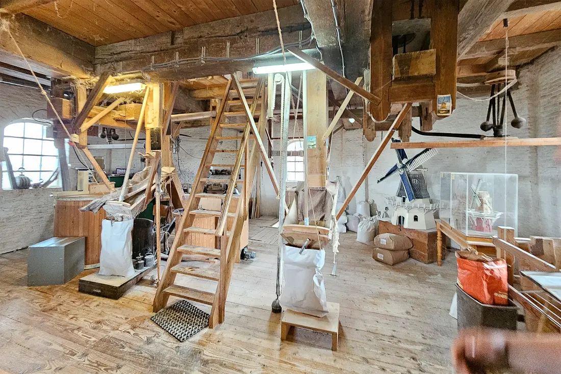 8, Molen 01262 De Zwaluw (Hoogeveen), Lukas Vandael (30-6-2023)&nbsp; | Database Nederlandse molens