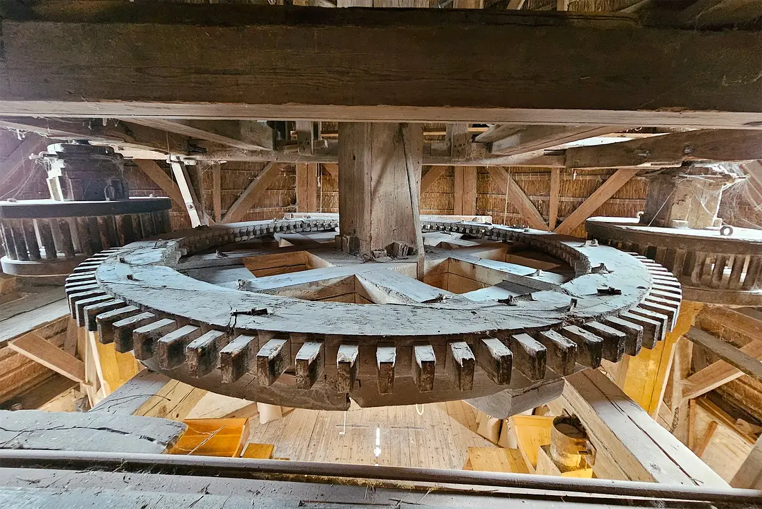 12, Molen 01262 De Zwaluw (Hoogeveen), Lukas Vandael (30-6-2023)&nbsp; | Database Nederlandse molens