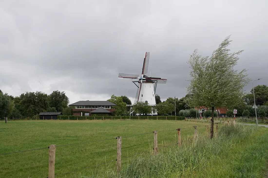1, Molen 01656 Oostmolen (Kloetinge), Boukje van Leijen (6-8-2023)&nbsp; | Database Nederlandse molens