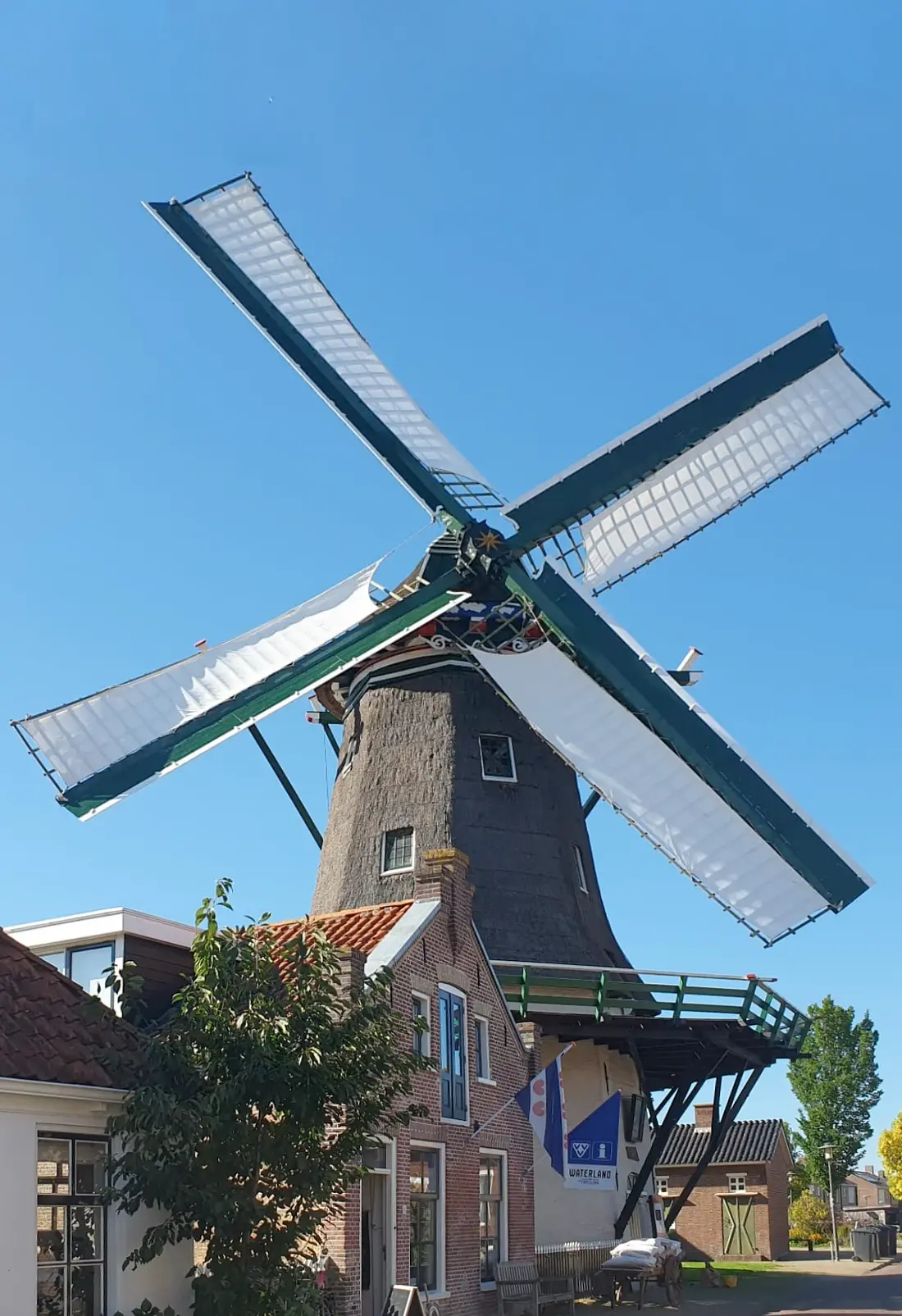 Molen 03295 't Lam ( Woudsend / Wâldsein), Ceryl van den esker (26-8-2023)&nbsp;De molen met zijn nieuwe zeilen. | Database Nederlandse molens