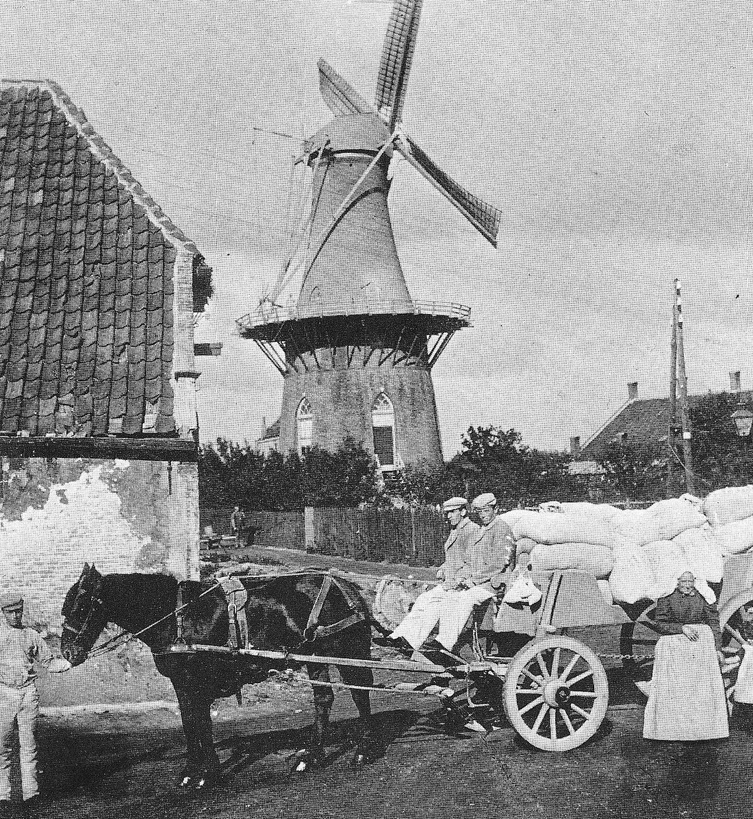 3, Molen 01269 Landzigt (Zwijndrecht), Foto: opname ca 1900, vlnr zonen Johannes, Willem en Marinus, wed. De Graafcollectie B. Los | Database Nederlandse molens