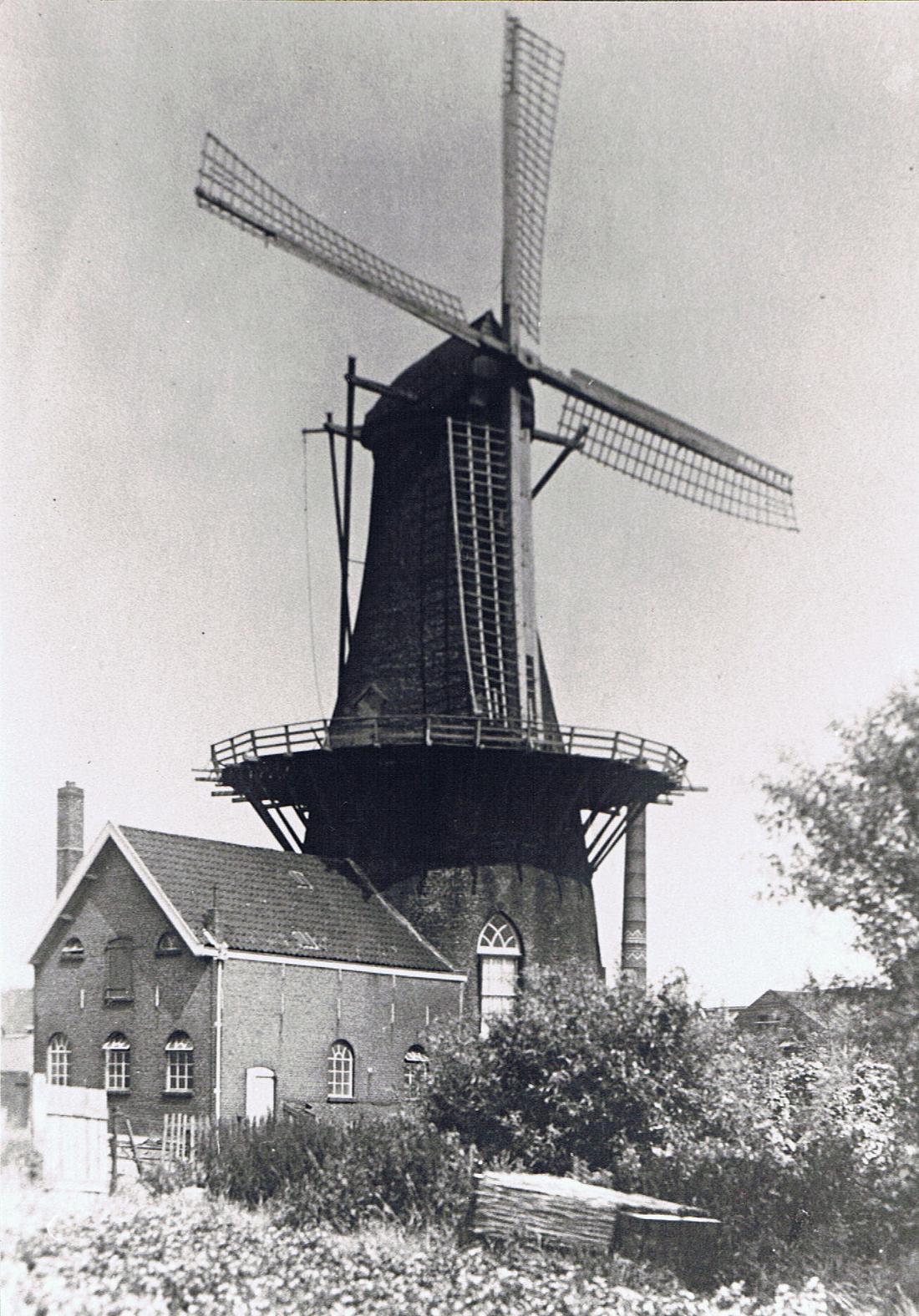 6, Molen 01269 Landzigt (Zwijndrecht), Foto coll. DVM | Database Nederlandse molens