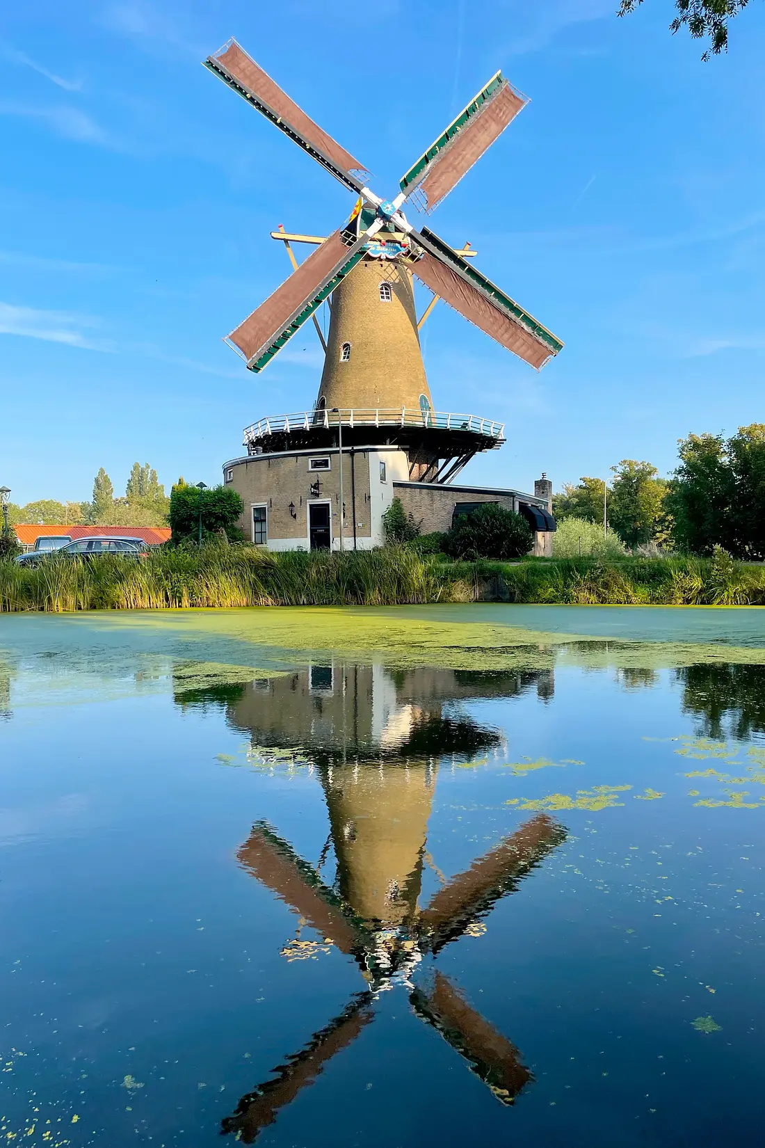 Molen 01911 De Bernissemolen (Geervliet), Frank Moerland (08-09-2023)&nbsp; | Database Nederlandse molens
