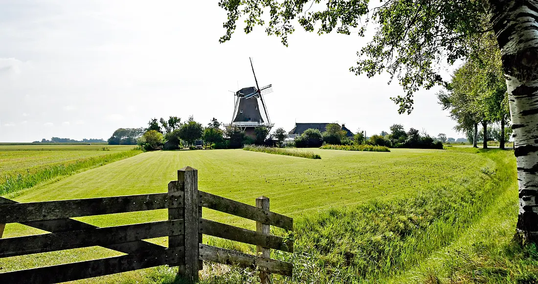 4, Molen 03226 De Hond (Paesens / Paezens), Jan Kraker (03-09-2023)&nbsp; | Database Nederlandse molens