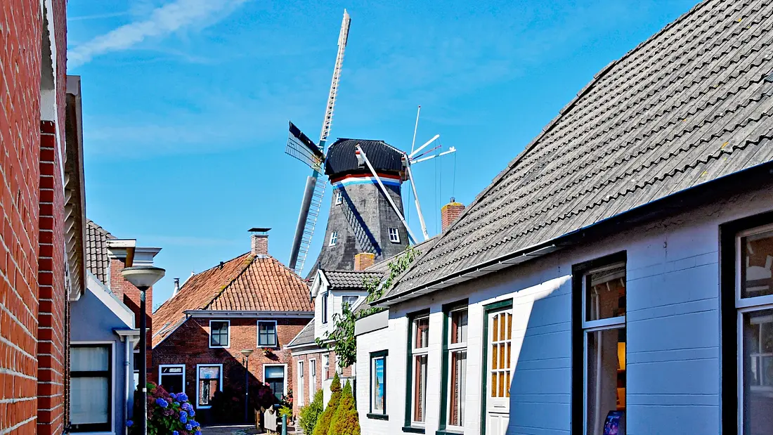 4, Molen 06407 De Ster (Winsum), Jan Kraker (04-09-2023)&nbsp; | Database Nederlandse molens