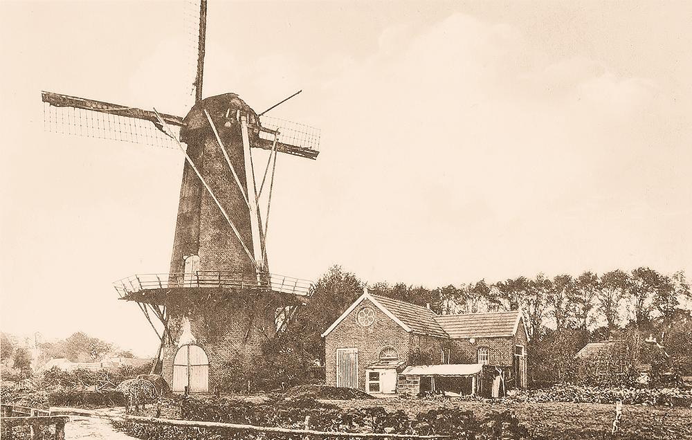 1, Molen 04415 b Beins' Molen / Molen van Snater / Molen van Graver (Borger), Ansichtkaart collectie V. Mepschen | Database Nederlandse molens