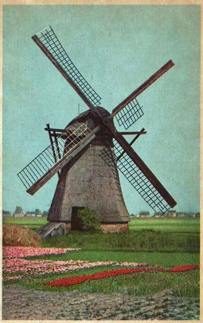 1, Molen 01045 Zemelpolder, Zemelmolen (Lisse), Ansichtkaart, collectie DVM | Database Nederlandse molens