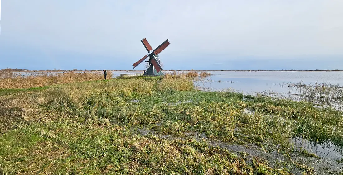 1, Molen 03759 c De Geeuwpoldermolen / Geaupoldermole (Geau's Mole) (Oppenhuizen / Toppenhuzen), Marc Polderman (25-11-2023)&nbsp; | Database Nederlandse molens