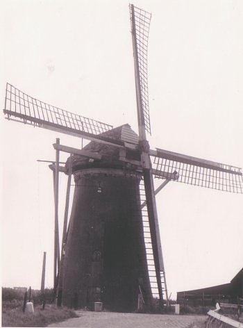 2, Molen 01910 Molen van Schelling (Heenvliet), foto J.de Groot, opname 1960&nbsp; collectie DVM | Database Nederlandse molens