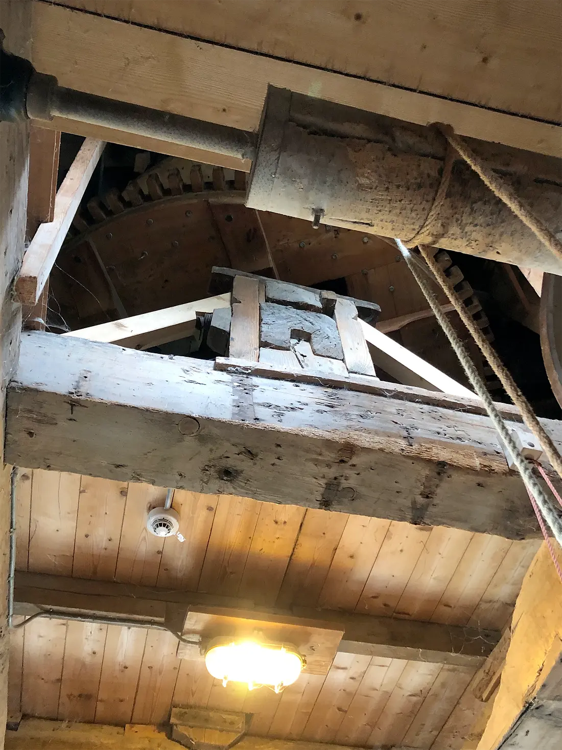 13, Molen 02763 De Weyert (Makkinga), Sander Boom (21-10-2023)De opmerkelijke constructie van de donsbalk op een verhoging, uit de tijd dat deze molen een zaagmolen was.&nbsp; | Database Nederlandse molens