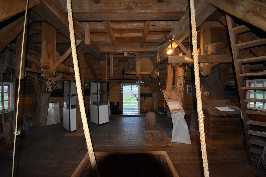 8, Molen 00405 De Zwaan (Voorst), Jurre Riphagen (04-11-2023)&nbsp; | Database Nederlandse molens