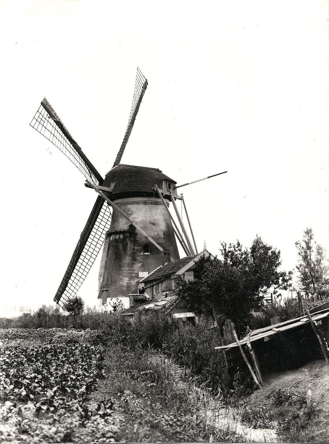 2, Molen 01267 Polder Heer Oudelandsambacht / Pietermansmolen (3e) (Zwijndrecht), Foto collectie DVM | Database Nederlandse molens