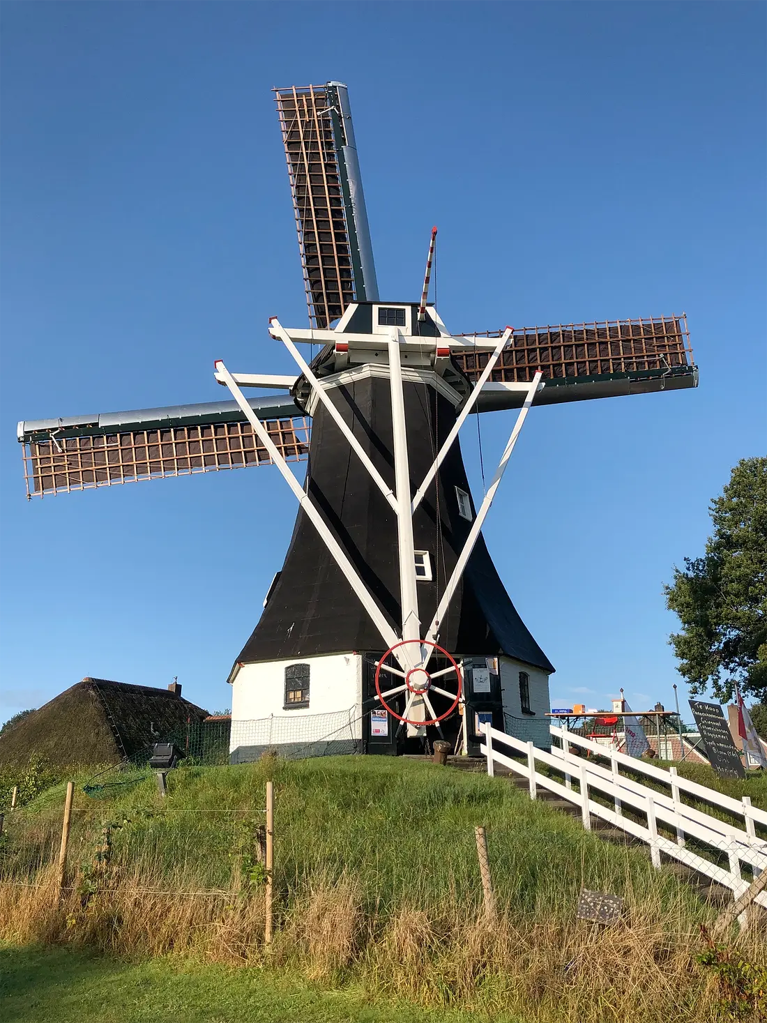 Molen 00686 Molen van Rolde (Rolde), Willem Telgen (31-08-2023)&nbsp;De molen na het groot onderhoud. | Database Nederlandse molens