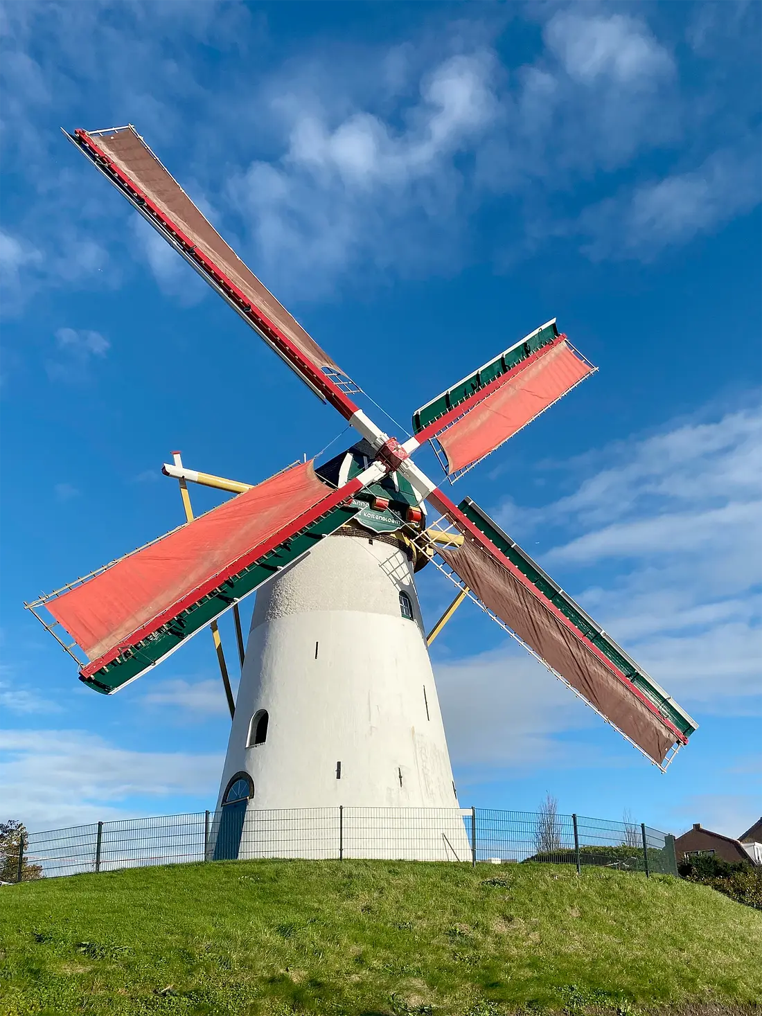 Molen 01895 De Korenbloem (Oude-Tonge), Tim Grootenboer (17-11-2023)De molen malend uit het zuiden met twee leenzeilen van de molen in Den Hout. | Database Nederlandse molens