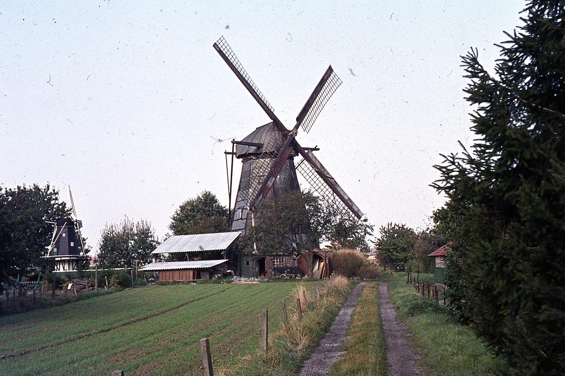 1, Molen 00213 De Grauwe Beer (Beesel), Foto J.L.J. Tersteeg, opname 22 oktober 1975 | Database Nederlandse molens