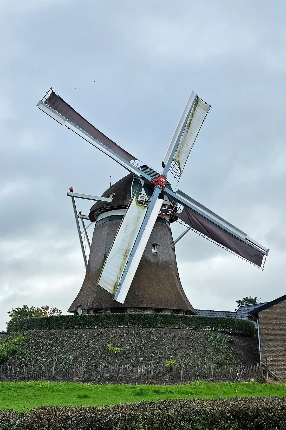 Molen 02709 De Meule van Wassens (vh. De Vlijt) (Zuidwolde), Lukas Vandael (28-10-2023)&nbsp; | Database Nederlandse molens