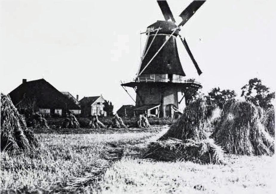 Molen 02738 b Molen van ten Brink / De Huisvrouw (Emmen), foto coll DHM | Database Nederlandse molens
