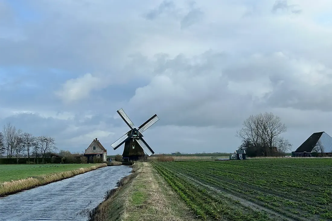 1, Molen 00326 Molen N-G of Noorder G (Sint Maartensbrug), Abel van Loenen (14-01-2024)&nbsp;De molen gezien vanuit het veld ten westen van de molen. Met links het molenaarshuis en rechts het gemaal vlak naast de molen.&nbsp; | Database Nederlandse molens