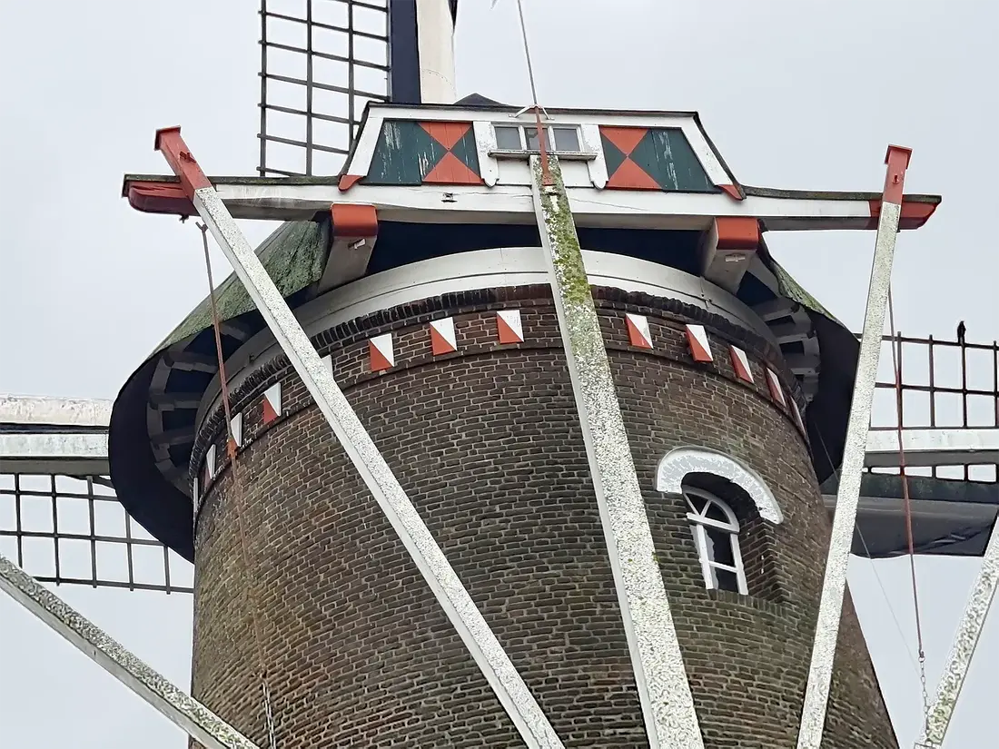 5, Molen 03138 Desiré (Megen), Pieter Zuijkerbuijk (13-01-2024)&nbsp; | Database Nederlandse molens
