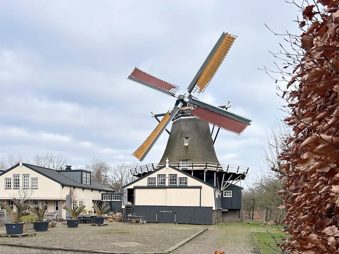 2, Molen 00991 De Herder (Leiden), Bjorn Jannink (17-2-2024)&nbsp; | Database Nederlandse molens