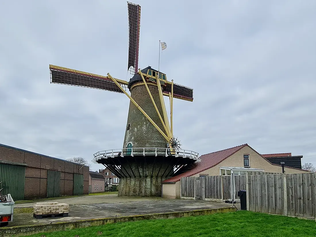 3, Molen 01892 Windlust (Achthuizen), Pieter Zuijkerbuijk (17-2-2024)&nbsp; | Database Nederlandse molens