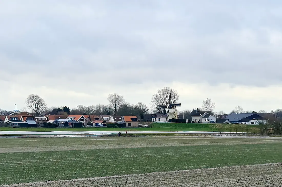 4, Molen 01885 De Dankbaarheid (Herkingen), Pieter Zuijkerbuijk (24-02-2024)&nbsp; | Database Nederlandse molens