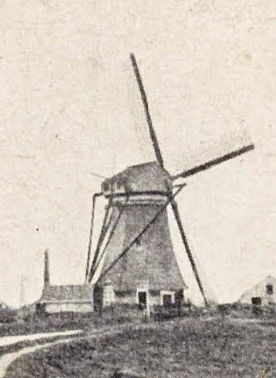 Molen 01213 f Polder Kerk en Zanen, Groote Molen (Alphen aan den Rijn), deel van foto, collectie DHM | Database Nederlandse molens