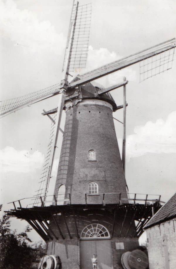 1, Molen 01903 De Haas (Hellevoetsluis), Ansichtkaart, serie 41, nr 3, coll. DVM | Database Nederlandse molens