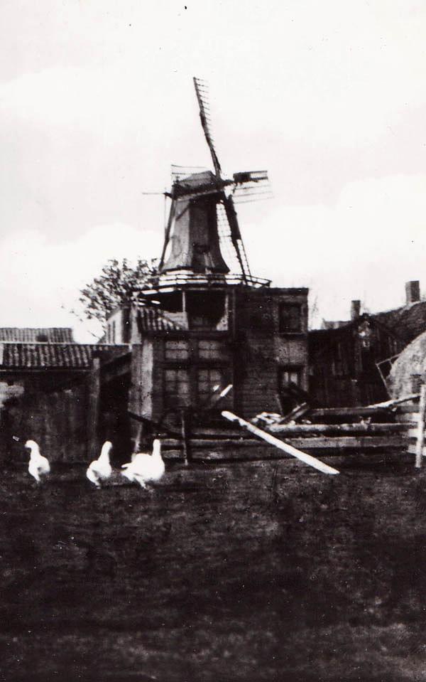 1, Molen 06393 Het Indië's Welvaren / Indisch Welvaren / vh. De Huisvlijt (Zaandam-West), Ansichtkaart, serie 38 nr 2, coll. DVM | Database Nederlandse molens