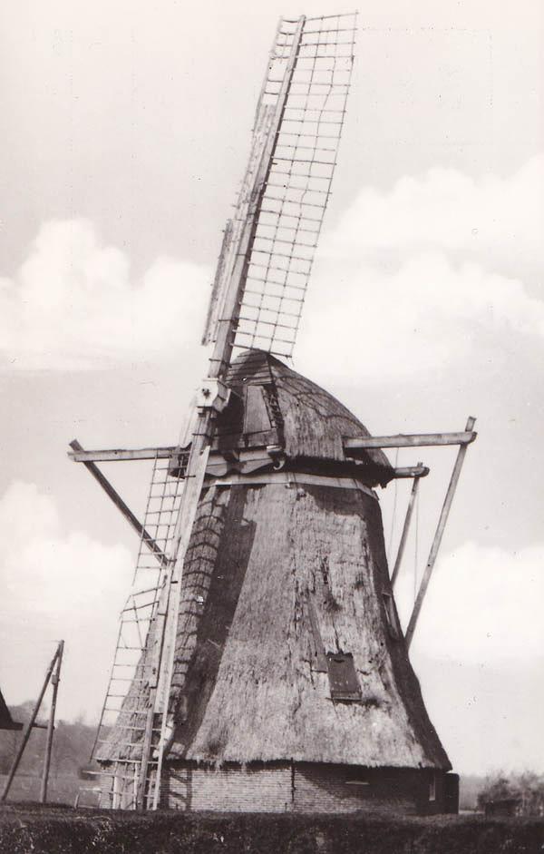 Molen 00691 Molen van de Heer van Echten (Hoogeveen), Ansichtkaard serie 32, nr 4, coll. DVM | Database Nederlandse molens