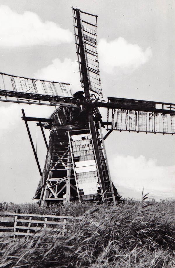 Molen 03017 Kolthofpolder / De Bjusse (Oosterbierum/ Easterbierrum), Ansichtkaart serie 28, nr2, foto A. Verwers, coll. DVM | Database Nederlandse molens