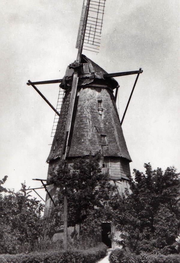 1, Molen 01075 De Verwachting / Van Eck (Harmelen), Ansichtkaart serie 24 nr 3, coll. DVM | Database Nederlandse molens