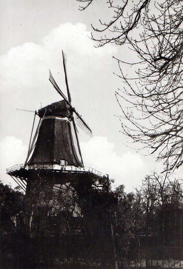 1, Molen 01851 De Jonge Gerrit / Mölle van Iesseldiek (Wijhe), Ansichtkaart serie 22 nr 4, foto Ir. W. Voerman, coll. DVM | Database Nederlandse molens