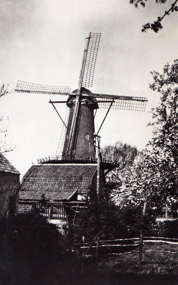 2, Molen 00249 (korenmolen) (Hagestein), Ansichtkaart serie 20, nr 5, coll. DVM | Database Nederlandse molens