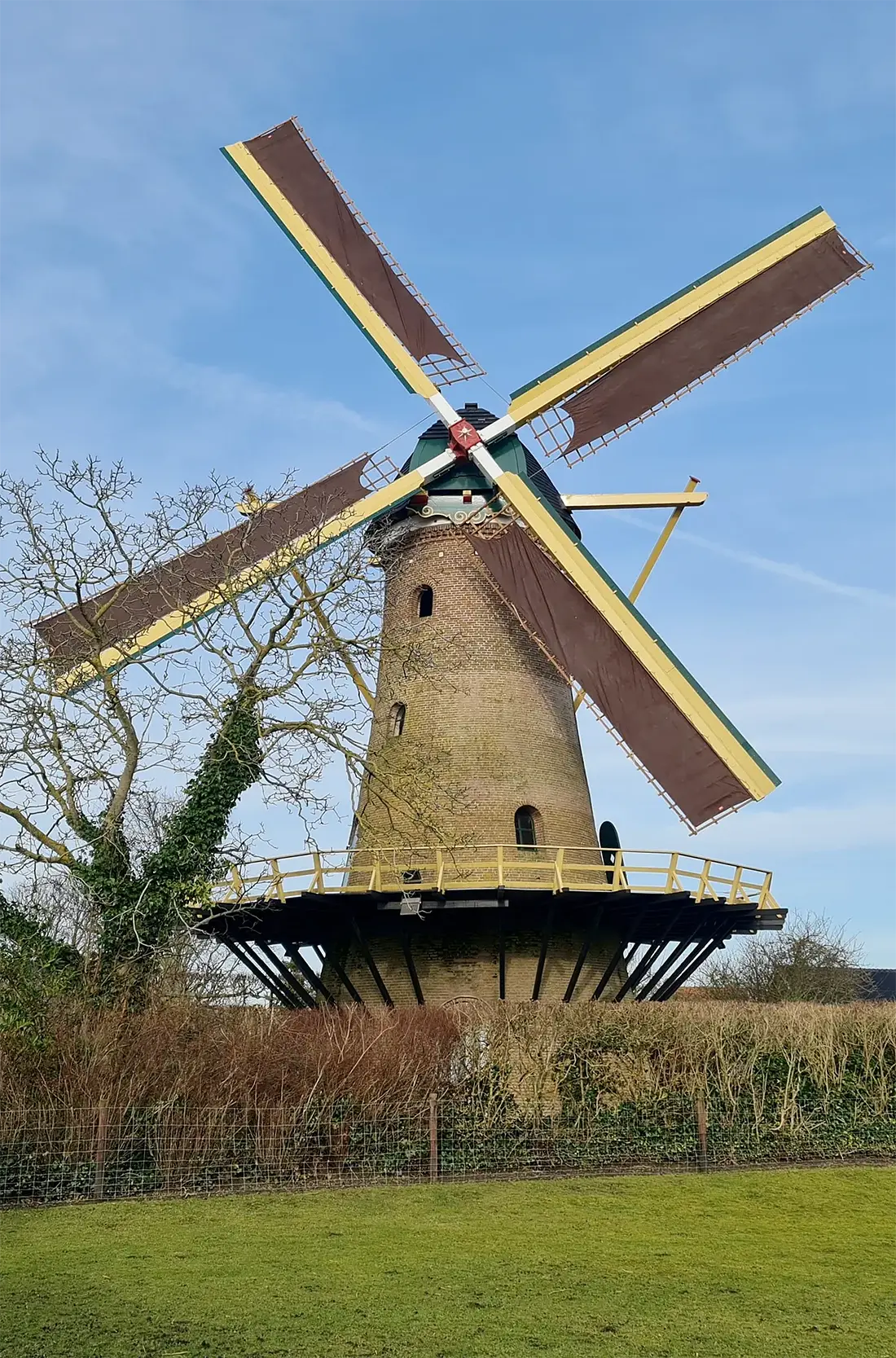 Molen 01886 De Eendracht (Dirksland), Pieter Zuijkerbuijk (27-01-2024) | Database Nederlandse molens