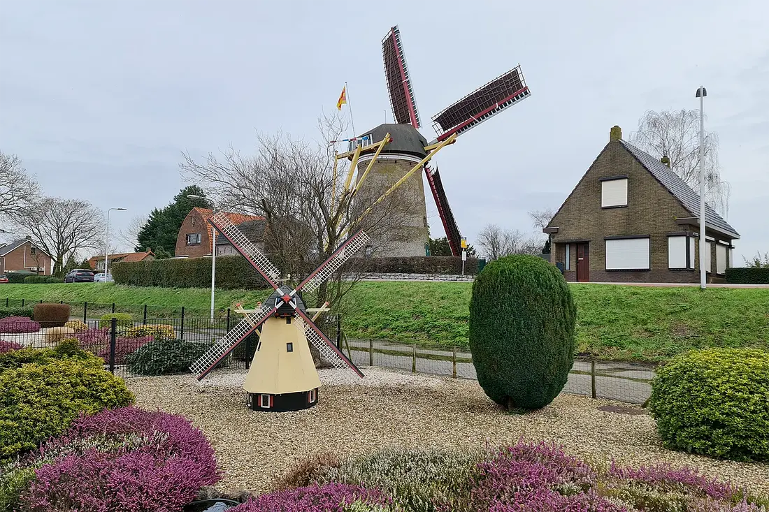 3, Molen 01889 De Korenaar (Stad aan 't Haringvliet), Pieter Zuijkerbuijk (10-2-2024)&nbsp; | Database Nederlandse molens
