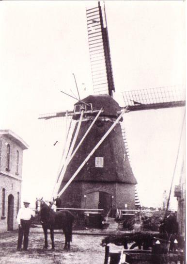 1, Molen 02641 Molen van Strunk / Molen van Weggeman (Marle), Foto coll. G.H. Varwijk sr | Database Nederlandse molens