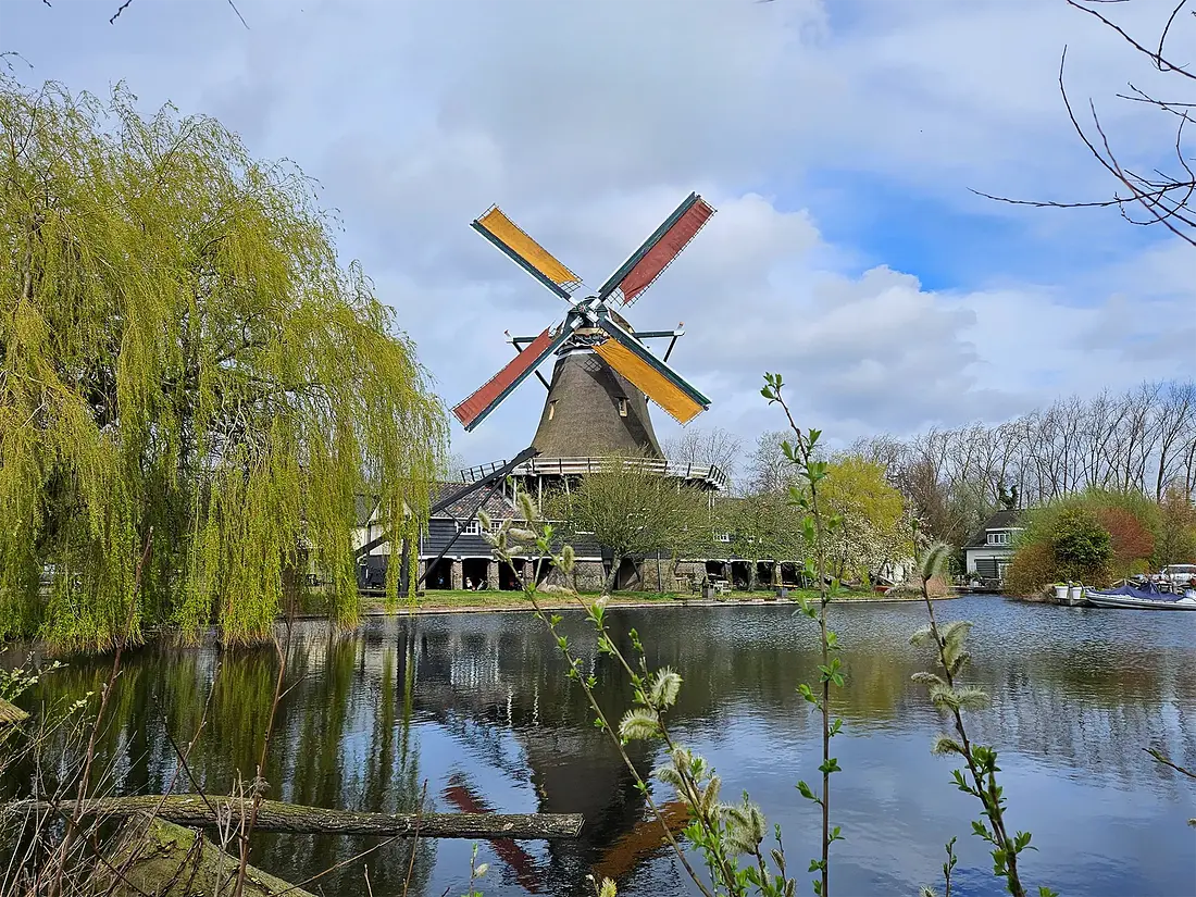 6, Molen 00991 De Herder (Leiden), Lukas Vandael (2-4-2024)&nbsp; | Database Nederlandse molens
