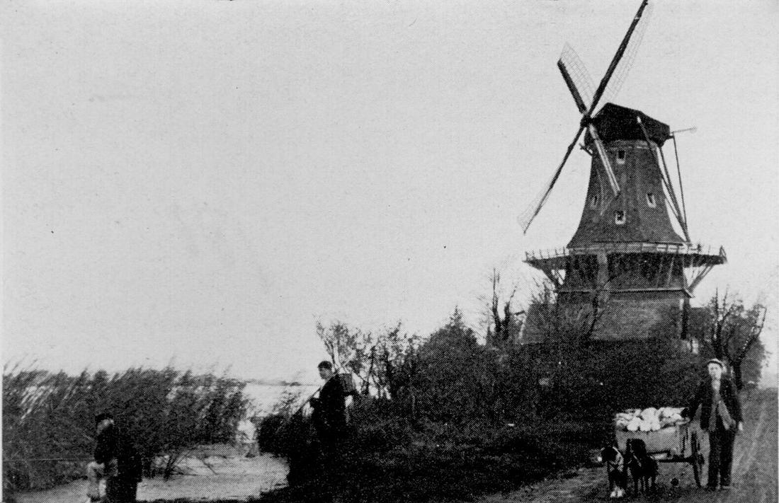 1, Molen 01761 De Ster (1e) (Rotterdam, stadsdeel Kralingen-Crooswijk), coll. DVM | Database Nederlandse molens