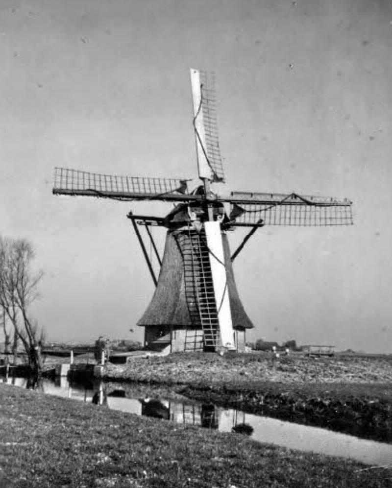 Molen 02943 Tjaard van Aylvapolder, Molen 2 (Wommels), coll. DHM | Database Nederlandse molens