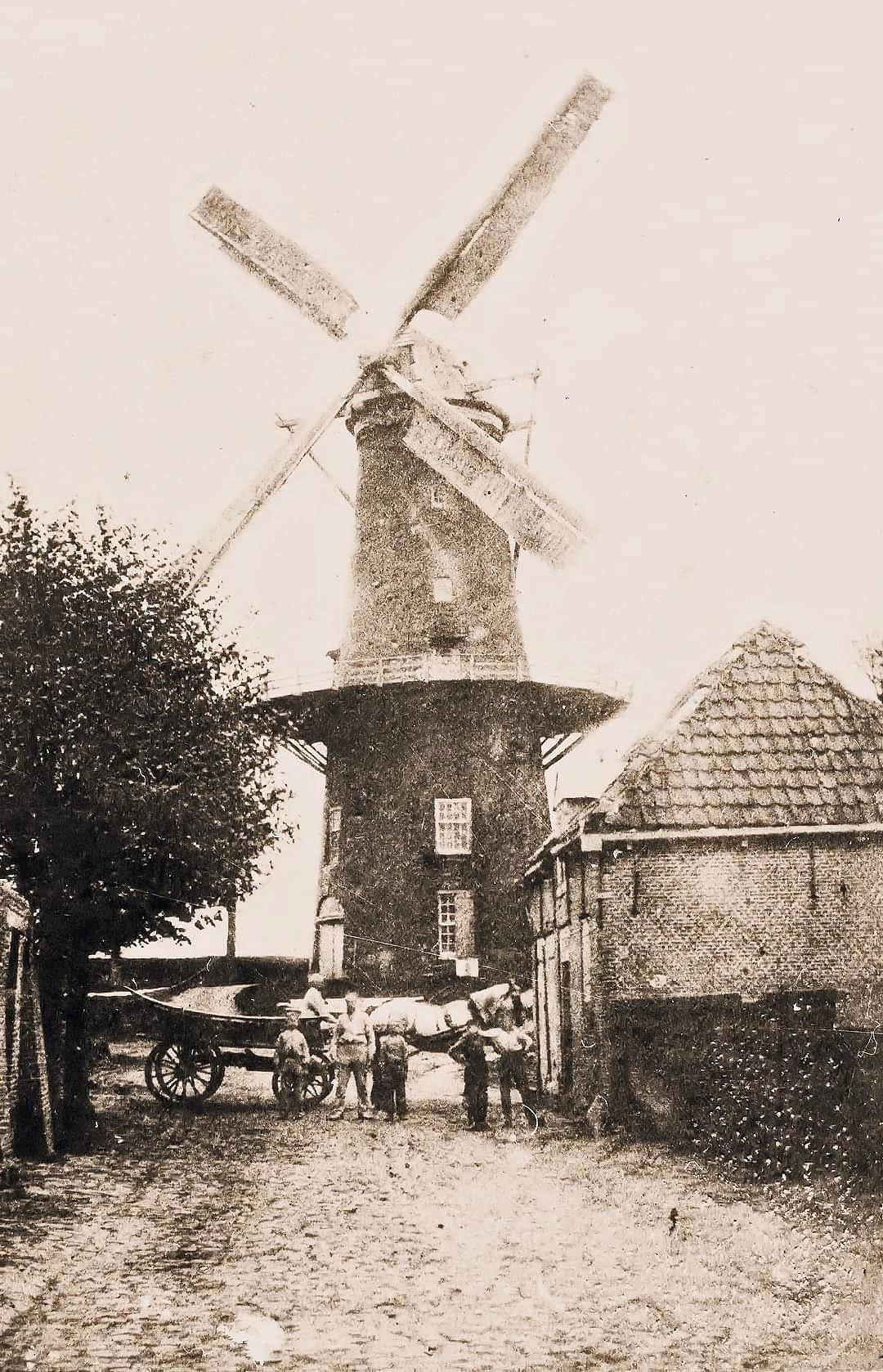 Molen 01908 a Het Vliegend Hert (Brielle), Ansichtkaart serie 83 nr 1 | Database Nederlandse molens
