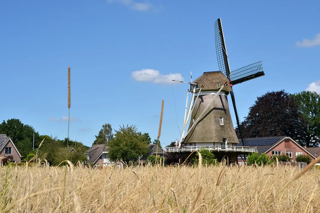 4, Molen 01239 De Maagd (Hulshorst), Rob Pols (28-07-2024)&nbsp; | Database Nederlandse molens