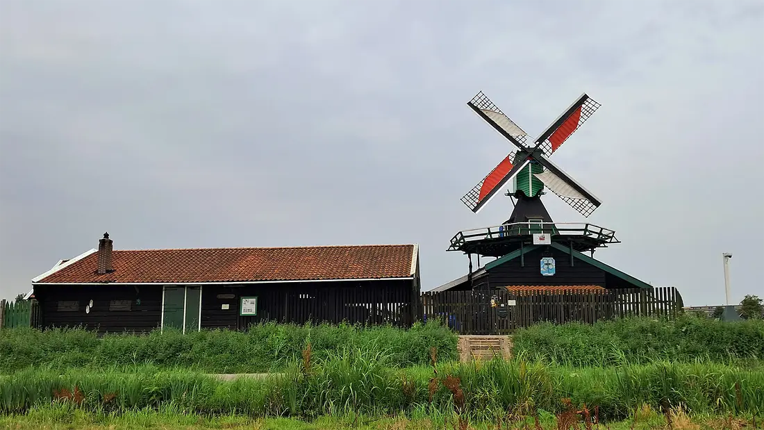 Molen 10101 Het Klaverblad (Zaandam), Marley Kooijman (01-08-2024)&nbsp; | Database Nederlandse molens