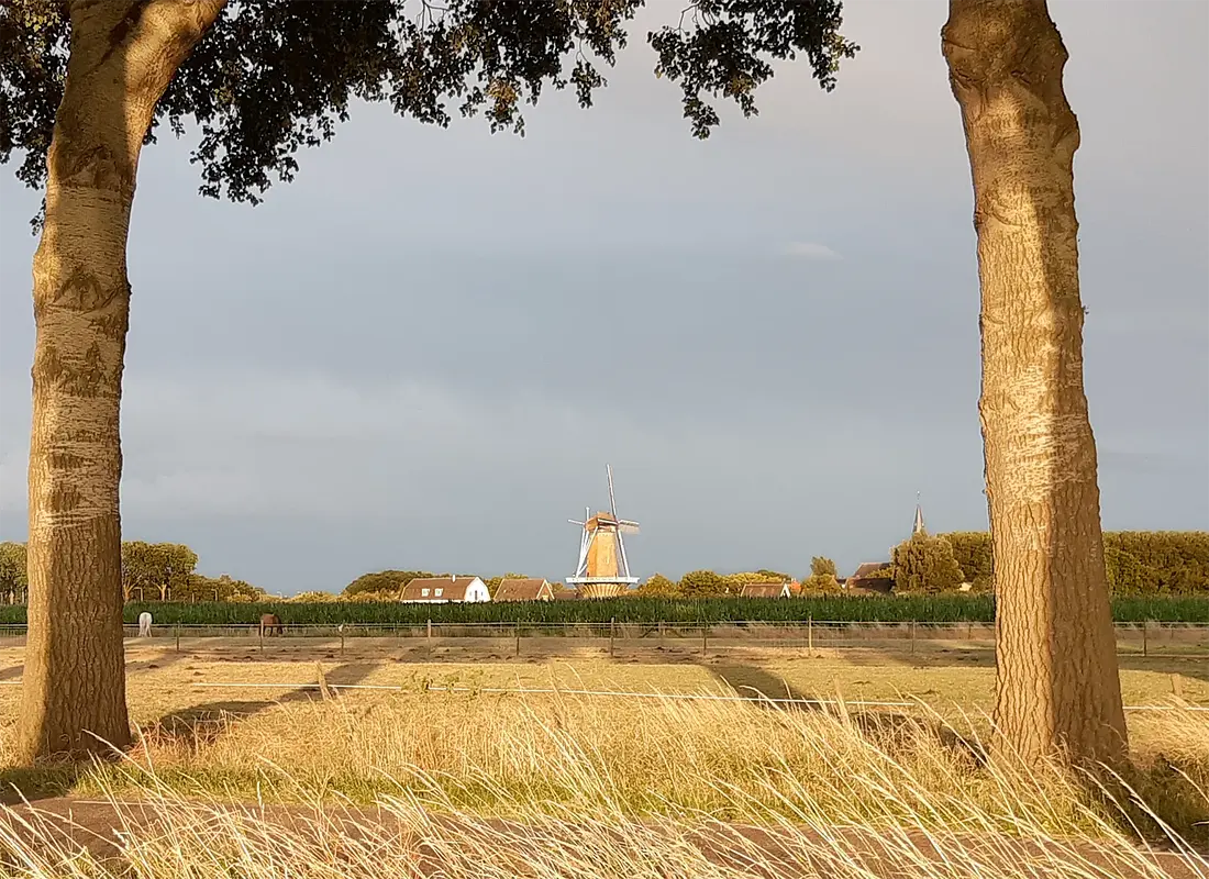 5, Molen 00258 b Rijn en Weert (Werkhoven), Anneke Sontrop (15-07-2023)&nbsp; | Database Nederlandse molens