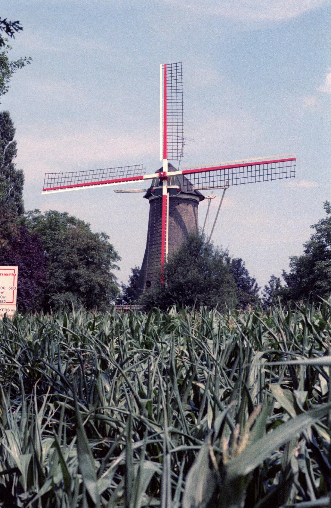 1, Molen 01570 Elderse Molen / De Ellenaar (Mierlo), Foto van Jaap Doets, opname 01-08-1982 | Database Nederlandse molens