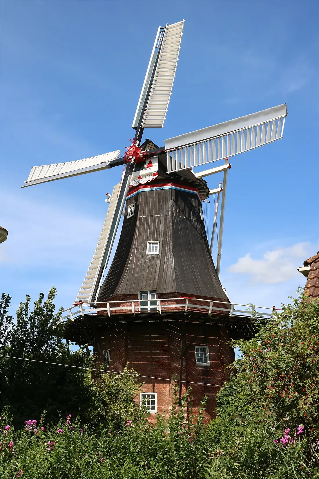 Molen 00435 Aeolus (Adorp), Ronald Bakker (10-08-2024)&nbsp;De restauratie van de molen is nagenoeg voltooid. | Database Nederlandse molens