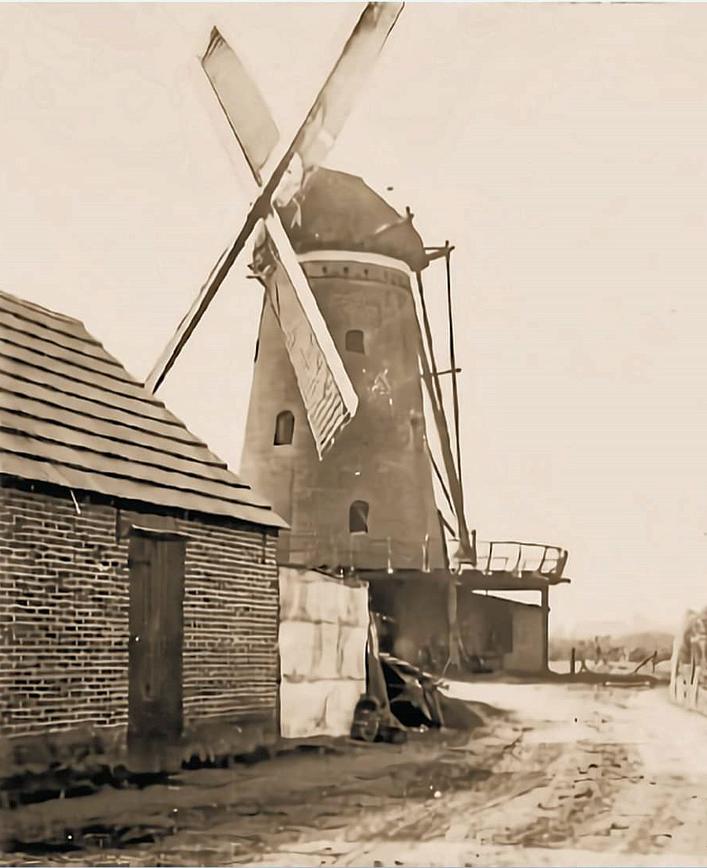 Molen 01999 Molen van Nous (Achtmaal), foto coll. DVM | Database Nederlandse molens